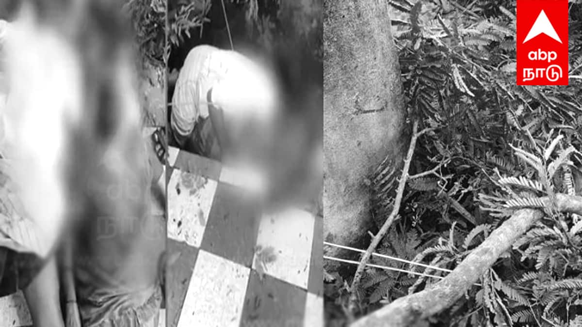 கடலூரில் சோகம்: கனமழையில் மரம் விழுந்து மின்சாரம் தாக்கி மூன்று பேர் உயிரிழப்பு! சாத்தமங்கலம் கிராமத்தில் துயரம்!