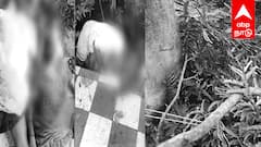 கடலூரில் சோகம்: கனமழையில் மரம் விழுந்து மின்சாரம் தாக்கி மூன்று பேர் உயிரிழப்பு! சாத்தமங்கலம் கிராமத்தில் துயரம்!