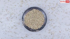 Health Tips: सौंफ से लेकर अजवाइन तक ये 5 चीजें अपने रुटीन में कर लें शामिल, हेल्दी रहेगी आपकी हर मॉर्निंग