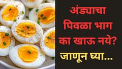 Egg Yolk: अंड्यातील पिवळा भाग का खाऊ नये? त्याचे फायदे आणि तोटे जाणून घ्या...