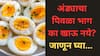 Egg Yolk: अंड्यातील पिवळा भाग का खाऊ नये? त्याचे फायदे आणि तोटे जाणून घ्या...
