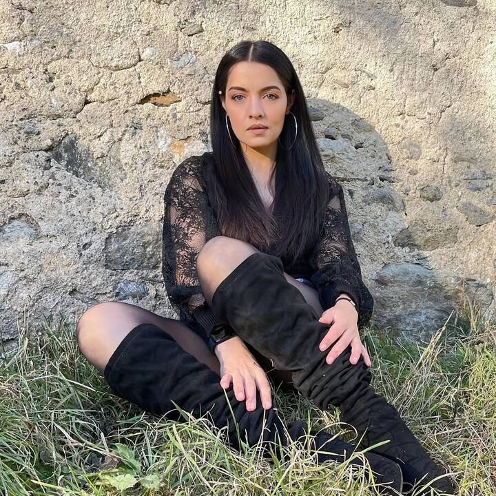 सेलिना जेटली सोशल मीडिया पर काफी एक्टिव रहती हैं आए दिन वो इंस्टाग्राम पर अपनी खूबसूरत तस्वीरें शेयर करती हैं.