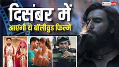 दिसंबर में मिलेगा एक्शन, कॉमडी और रोमांस का तगड़ा डोज! रिलीज होंगी ये 5 बॉलीवुड फिल्में
