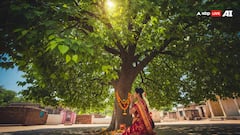 Vastu Tips: ઘર પર આ 3 વૃક્ષોનો પડછાયો અશુભ માનવામાં આવે છે, શાસ્ત્રો પણ ચેતવણી આપે છે