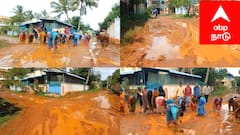 சீர்காழியில் விநோதப் போராட்டம்: சாலையில் நாற்று நட்ட பாலசுப்ரமணியன் நகர் மக்கள்! தேர்தலைப் புறக்கணிப்போம் என எச்சரிக்கை!