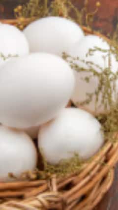 ਉਬਾਲਣ ਵੇਲੇ ਪਾਣੀ ‘ਚ ਟੁੱਟ ਜਾਂਦੇ ਅੰਡੇ ਤਾਂ ਕੀ ਕਰਨਾ ਚਾਹੀਦਾ?