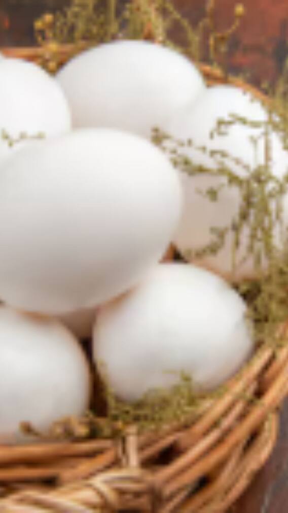 ਉਬਾਲਣ ਵੇਲੇ ਪਾਣੀ ‘ਚ ਟੁੱਟ ਜਾਂਦੇ ਅੰਡੇ ਤਾਂ ਕੀ ਕਰਨਾ ਚਾਹੀਦਾ?