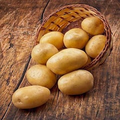 Healthy Potato for Diabetics : डिप्लॉइड बियांद्वारे मधुमेहींसाठी आरोगदायी बटाटा आता बाजारात उपलब्ध!