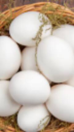 ਦੇਸੀ ਜਾਂ ਫਾਰਮੀ? ਕਿਹੜਾ ਅੰਡਾ ਸਿਹਤ ਦੇ ਲਈ ਫਾਇਦੇਮੰਦ