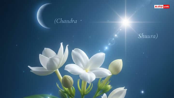 वस्तु और ज्योतिष के अनुसार मोगरे का संबंध चंद्रमा और शुक्र ग्रह से माना जाता है. शुक्र प्रेम, आकर्षण और ऐश्वर्य का प्रतीक है, वहीं चंद्रमा मन और शांति से जुड़ा हुआ है. आमतौर पर यही वजह है कि इस पौधे की मौजूदगी से घर में प्रेम बढ़ता है और मन को भी राहत मिलती है.