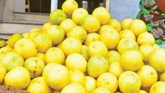 கண் திருஷ்டி பிரச்சினையா? - வீட்டில் எலுமிச்சை பழம் வைத்தால் போதும்!