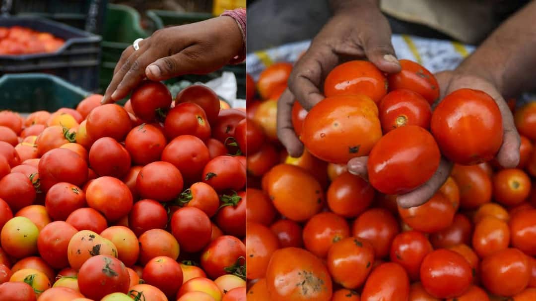 Tomato Price: பாதியாக குறைந்த தக்காளி விலை.. ஒரு கிலோ இவ்வளவு தானா.? குஷியில் இல்லத்தரசிகள்