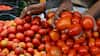 TOMATO PRICE: ஒரு கிலோ தக்காளி இவ்வளவா.!! ஒரே நாளில் உச்சத்தை தொட்ட விலை- எப்போ தான் குறையும்.?