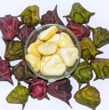 ਡਾਇਬਟੀਜ਼ ਵਾਲੇ ਲੋਕ- ਭਾਵੇਂ ਸਿੰਘਾੜਾ ਖੂਨ 'ਚ ਸ਼ੂਗਰ ਦੀ ਮਾਤਰਾ ਕੰਟਰੋਲ ਕਰਨ ਲਈ ਮਸ਼ਹੂਰ ਹੈ, ਪਰ ਇਸਦਾ ਗਲਾਈਸੈਮਿਕ ਇੰਡੈਕਸ ਥੋੜ੍ਹਾ ਵੱਧ ਹੋਣ ਕਰਕੇ ਇਹ ਸ਼ੂਗਰ ਦੇ ਮਰੀਜ਼ਾਂ ਲਈ ਨੁਕਸਾਨਦਾਇਕ ਸਾਬਤ ਹੋ ਸਕਦਾ ਹੈ। ਜਦੋਂ ਕਿਸੇ ਖੁਰਾਕ ਦਾ ਗਲਾਈਸੈਮਿਕ ਇੰਡੈਕਸ ਵੱਧ ਹੁੰਦਾ ਹੈ, ਤਾਂ ਇਸ ਨਾਲ ਬਲੱਡ ਸ਼ੂਗਰ ਲੈਵਲ ਤੇਜ਼ੀ ਨਾਲ ਵਧਦਾ ਹੈ, ਜਿਸ ਨਾਲ ਡਾਇਬਟੀਜ਼ ਦੀ ਸਮੱਸਿਆ ਹੋਰ ਵੱਧ ਸਕਦੀ ਹੈ।