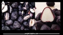 ਇਹ ਲੋਕ ਭੁੱਲ ਕੇ ਵੀ ਨਾ ਕਰਨ ਸਿੰਘਾੜੇ ਦਾ ਸੇਵਨ? ਘੇਰ ਲੈਣਗੀਆਂ ਇਹ ਦਿੱਕਤਾਂ...