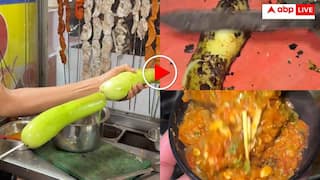 Video: शख्स ने बना डाला लौकी का भर्ता! बैंगन और आलू पर शुरू हो गई बहस- यूजर्स बोले जिंदाबाद था और रहेगा- वीडियो वायरल