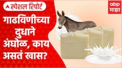 Donkey soap : गाढविणीच्या दुधाने अंघोळ, काय असतं खास? Special Report