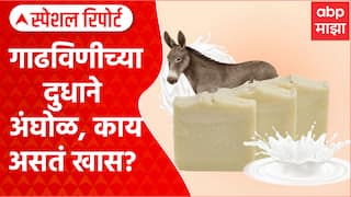 Donkey soap : गाढविणीच्या दुधाने अंघोळ, काय असतं खास? Special Report