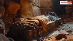 मुर्दों का म्यूजियम देखने पहुंची थी महिला! वहीं दिख गया अपने बेटे का शव- इसके बाद जो हुआ रुला देगा