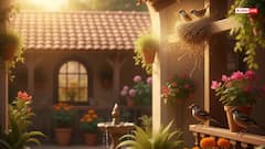 Vastu Tips: घर की बालकनी में चिड़िया ने बनाया घोंसला, जानें क्या कहता है वास्तु?