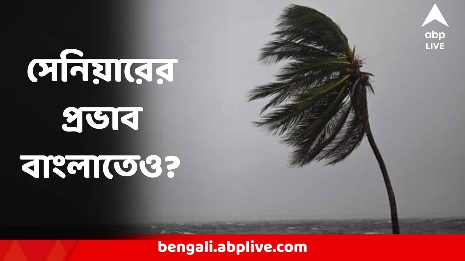 Cyclone Senyar Update : 'ঘূর্ণিঝড় সেনিয়ার'-এর দাপটে উথালপাথাল হবে বাংলাও? জানাল মৌসম ভবন