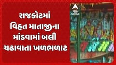 Rajkot News: આધુનિક યુગમાં પણ જીવે છે અંધશ્રદ્ધા , રાજકોટમાં વિહત માતાજીના માંડવામાં બલી ચઢાવાતા ખળભળાટ