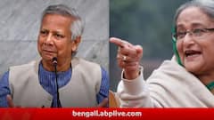 হাসিনাকে ফেরান ! আবার ভারতকে বার্তা বাংলাদেশের, এবার কী দাবি?