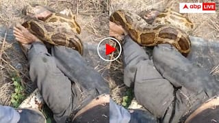 Python Attack: कोटा में दर्दनाक हादसा! अजगर ने किया शख्स पर हमला, फिर ऐसे छुड़ाई दरिंदे से जान- डरा देगा वीडियो