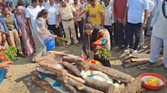 Gauri Garje-Anant Garje News : अनंत गर्जेंच्या बंगल्यासमोरच गौरीच्या पार्थिवाला अग्नी दिला, पालवे-गर्जेंच्या नातेवाईकांमध्ये राडा, अहिल्यानगरच्या लेकीला अखेरचा निरोप