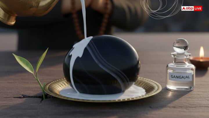 काला हकीक धारण करने से पहले, इसे दूध और गंगाजल से शुद्ध करें, और शनिवार या मंगलवार की शाम को शनि के बीज मंत्र (ॐ प्रां प्रीं प्रौं सः शनैश्चराय नमः) का 108 बार जाप करके धारण करें.