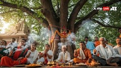 Peepal Tree Benefits: પીપળાના વૃક્ષની પૂજા અને તેના ચમત્કારિક ફાયદાઓ વિશે જાણો