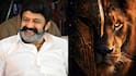 Balakrishna : బాలయ్యతో హీరోయిన్ స్పెషల్ సాంగ్? - సిల్వర్ స్క్రీన్‌పై ఈ కాంబో ఎక్స్‌పెక్ట్ చేసుండరు!