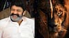 Balakrishna : బాలయ్యతో హీరోయిన్ స్పెషల్ సాంగ్? - సిల్వర్ స్క్రీన్‌పై ఈ కాంబో ఎక్స్‌పెక్ట్ చేసుండరు!