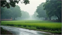 మరో అల్పపీడనం.. ఏపీలో ఈ జిల్లాల్లో మోస్తరు వర్షాలు, తెలంగాణలో వాతావరణం ఇలా