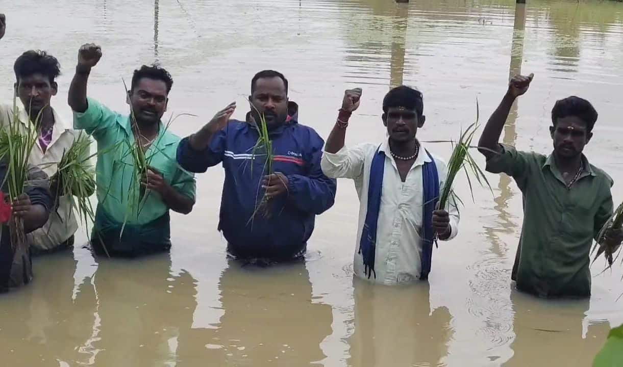 விடிய, விடிய வெளுத்தெடுத்த கனமழை... இளம் சம்பா, தாளடி பயிர்கள் மூழ்கியதால் விவசாயிகள் வேதனை