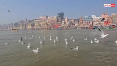 इस दिन से यूपी में आ जाएगी शीतलहर, पूर्वांचल में ठंड और कोहरे की शुरुआत, जानें मौसम का हाल