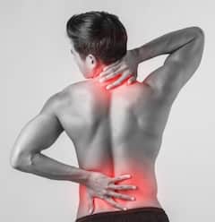 ਰੀੜ੍ਹ ਦੀ ਹੱਡੀ ਮਜ਼ਬੂਤ ਕਰਨ ਲਈ ਡਾਈਟ 'ਚ ਸ਼ਾਮਿਲ ਕਰੋ ਇਹ ਜਰੂਰੀ ਚੀਜ਼ਾਂ – ਕਮਰ ਦਰਦ ਤੋਂ ਪਾਓ ਰਾਹਤ