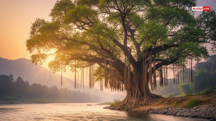 भगवान कृष्ण बताते हैं कि कर्म करते समय हर मनुष्य का उद्देश्य होता है और जब वह अपने कर्तव्य को निष्ठा व समर्पण से निभाता है, तभी उसे आंतरिक शांति प्राप्त होती है. संसार में सब कुछ परिवर्तनशील है.  ऐसा ज्ञान मन को अनावश्यक दबाव से मुक्त कर देता है. फिर मनुष्य स्वाभाविक रूप से अपने जीवन के साथ संतुलन बना लेता है.