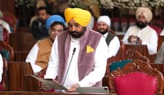 ਸ੍ਰੀ ਆਨੰਦਪੁਰ ਸਾਹਿਬ ਤੇ ਤਲਵੰਡੀ ਸਾਬੋ ਨੂੰ ਮਿਲਿਆ ਪਵਿੱਤਰ ਸ਼ਹਿਰ ਦਾ ਦਰਜਾ, ਵਿਧਾਨ ਸਭਾ 'ਚ ਸਰਬਸੰਮਤੀ ਨਾਲ ਮਤਾ ਪਾਸ