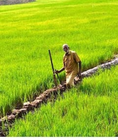 CM ਵੱਲੋਂ ਵੱਡਾ ਐਲਾਨ, ਕਿਸਾਨਾਂ ਨੂੰ ਇਸ ਦਿਨ ਮਿਲੇਗਾ ਮੁਆਵਜ਼ਾ...