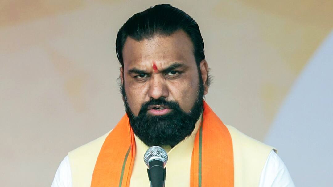 Shahnawaz Hussain Said RJD is Scared Because Samrat Choudhary Become the Home Minister 'सम्राट चौधरी गृह मंत्री बने हैं तो…', शाहनवाज हुसैन का बड़ा बयान, निशाने पर RJD