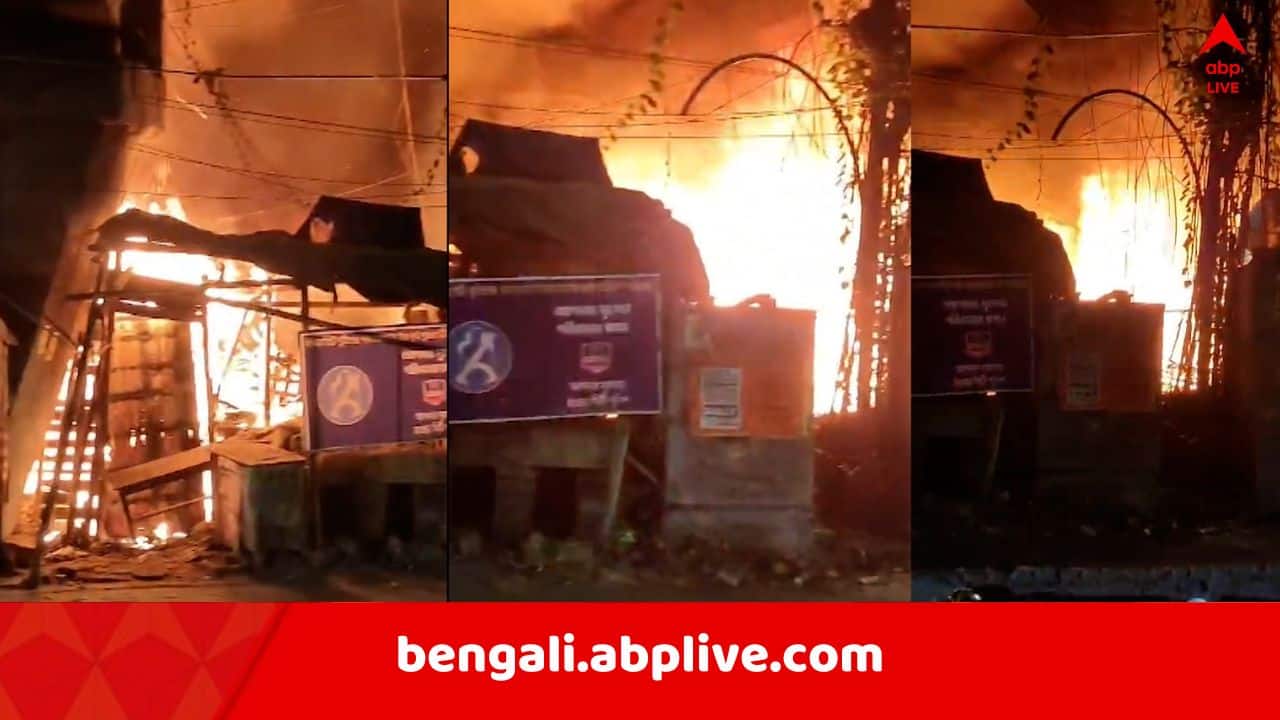 Howrah News: হাওড়ায় ভোররাতে বিধ্বংসী আগুন ! পুড়ে ছাই পরপর দোকান, ফাটল গ্যাস সিলিন্ডার, ভয়াবহ আগুন দেখে ঘর ছাড়লেন স্থানীয়রা