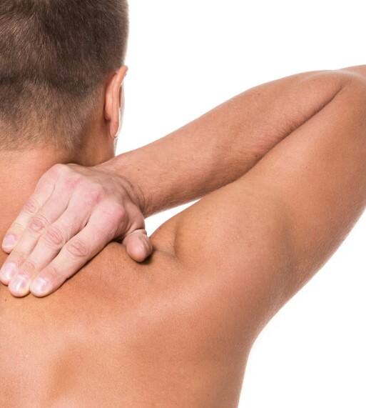 ਰੀੜ੍ਹ ਦੀ ਹੱਡੀ ਮਜ਼ਬੂਤ ਕਰਨ ਲਈ ਇਹ ਚੀਜ਼ਾਂ ਵਰਦਾਨ, ਅਪਣਾਓ ਹੈਲਥੀ ਡਾਈਟ