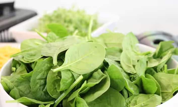 पोटेशियम के साथ-साथ, पालक में ऐसे तत्व भी होते हैं जो रक्त पतला करने वाली दवा वारफेरिन के असर को प्रभावित कर सकते हैं। विशेषज्ञों का कहना है कि पालक स्वास्थ्यवर्धक है, लेकिन अगर लोग अचानक बहुत ज़्यादा या बहुत कम खाने लगें तो यह समस्याएँ पैदा कर सकता है। इसलिए, दवा के असर को कम करने के लिए पालक का सेवन सीमित मात्रा में करना ज़रूरी है।