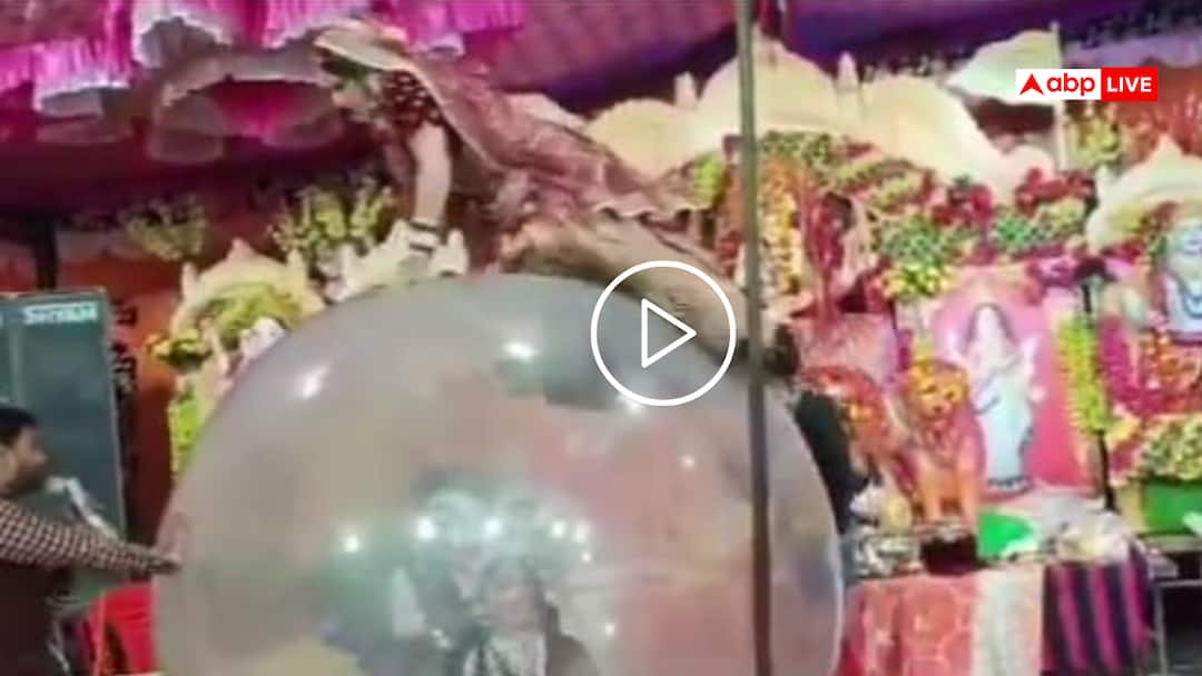 The girl dressed as tableau fell down as soon as she climbed on ball watch viral funny video Video: कहां से आते हैं ऐसे छपरी आइडिया? झांकी में लड़की को बड़ी बॉल पर चढ़ाया, धड़ाम से नीचे गिरी