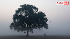 कितनी ठंडी हवा को कहा जाता है शीत लहर, इसका तापमान से क्या है कनेक्शन?