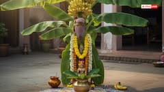 घर में केले का पौधा किस दिशा में लगना शुभ, जानें क्या कहता है वास्तु शास्त्र!