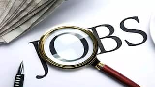 தேர்வு கட்டணமும் கிடையாது... தேர்வும் கிடையாது: அருமையான சம்பளத்தில் மத்திய அரசு வேலை வாய்ப்பு