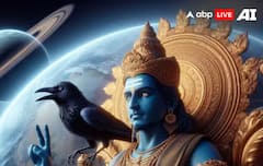 ਸ਼ਨੀ ਦੀ ਸਿੱਧੀ ਚਾਲ ਦੀ ਉਲਟੀ ਗਿਣਤੀ ਸ਼ੁਰੂ, 4 ਦਿਨ ਬਾਅਦ ਚਮਕੇਗੀ ਇਨ੍ਹਾਂ ਰਾਸ਼ੀਆਂ ਦੀ ਕਿਸਮਤ