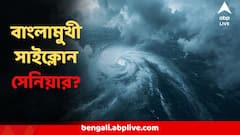 সত্যিই কি ধেয়ে আসছে সাইক্লোন সেনিয়ার? শীতের মুখে বাংলায় শুরু হবে বৃষ্টি-দুর্যোগ?